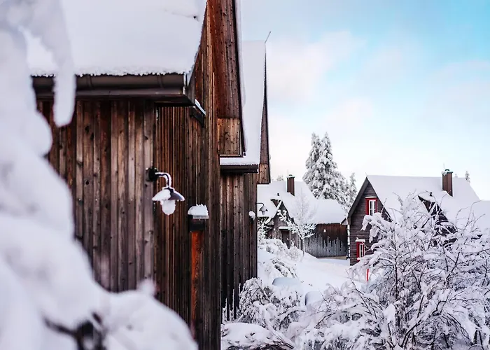 度假居 Ferienhaeuser,